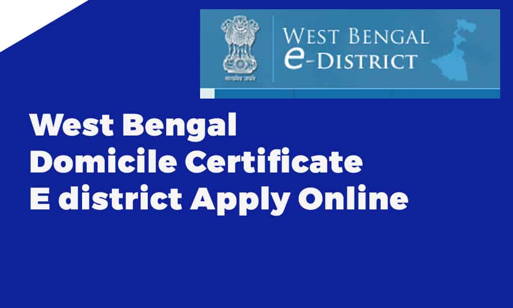 domicile certificate application