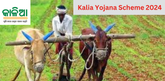 kalia yojana scheme