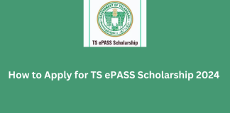 TS ePASS Scholarship status