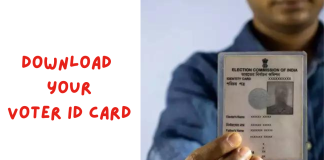 download your voter card