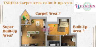 Carpet Area vs Built-up Area