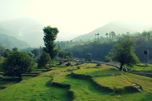 Palampur