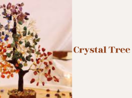 Crystal Tree Vastu