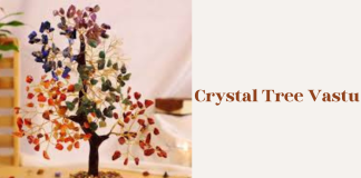 Crystal Tree Vastu