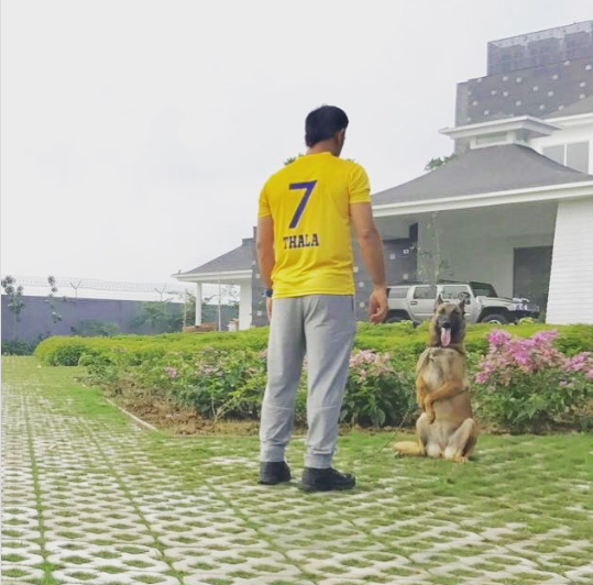 MS dhoni House 