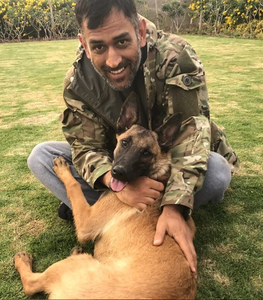 MS dhoni pet dog