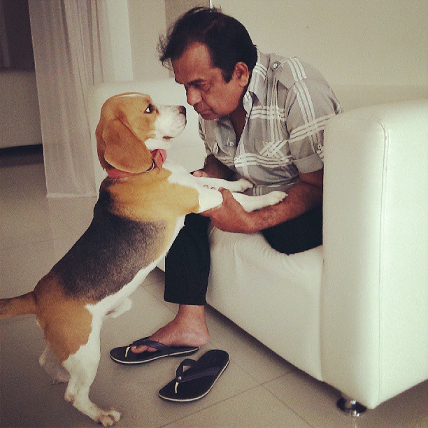 Brahmanandam