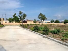 Tricolor Treasure Hunt Plots Review: 2025 Plots Near Zaheerabad NIMZs Treasure Hunt Sangareddy Plots