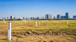 HMDA land auction