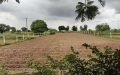 Agriculture Land For Sale in Shankarpally, Hyderabad