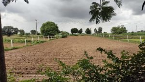 Agriculture Land For Sale in Shankarpally, Hyderabad