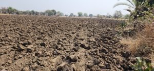 Agriculture land for sale at Jogipet, Hyderabad