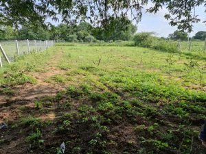 5 Guntas Plot for sale at Sangareddy, Hyderabad