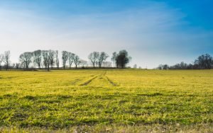 1 Acre Agriculture Land For Sale Near Shabad, Hyderabad