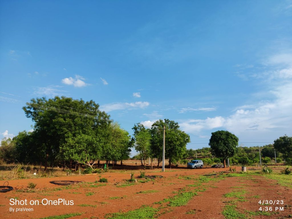 Farm Land for sale at Agriculture Land for sale at shankarpally