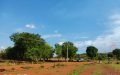 Farm lands For Sale in shankarpally, Hyderabad