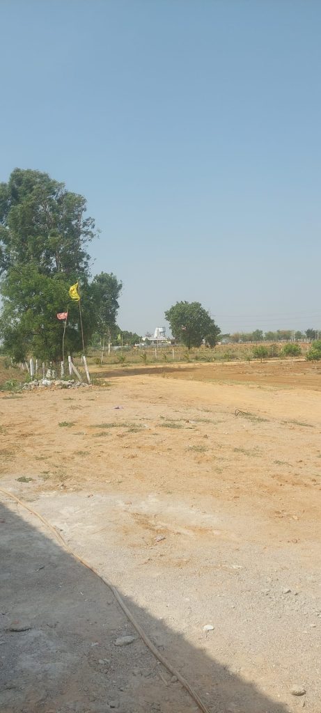 farmlands in narsapur