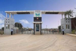 Residential Plots for Sale at Meerkhanpet, Hyderabad