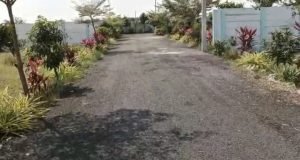 Farm Plots For Sale in Moinabad, Rangareddy.