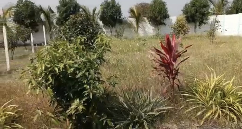 Farm Plots for sale in Moinabad