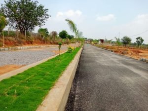 Residential Land/Plots for Sale in Pharma City, Hyderabad