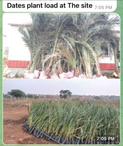 Farm plots for sale at Narayankhed, Hyderabad