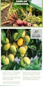 Farm Plots for Sale Near Sangareddy