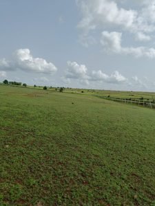 Farm Plots For Sale In Narayankhed.