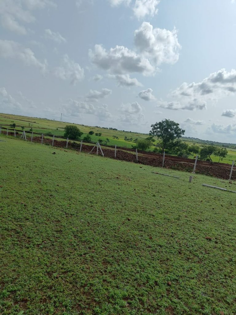 Farm land For Sale in Narayankhed