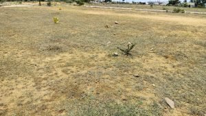 Residential Plots For Sale in Kadthal, Rangareddy.