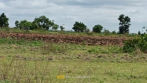 Farm Plots For Sale in Utpally, Narayankhed.