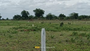 Residential Plots for sale in Dooskal, Rangareddy.