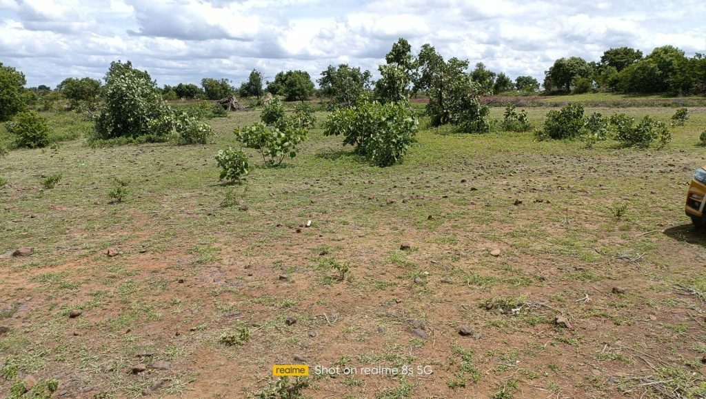 Agriculture Land For Sale In Narayankhed