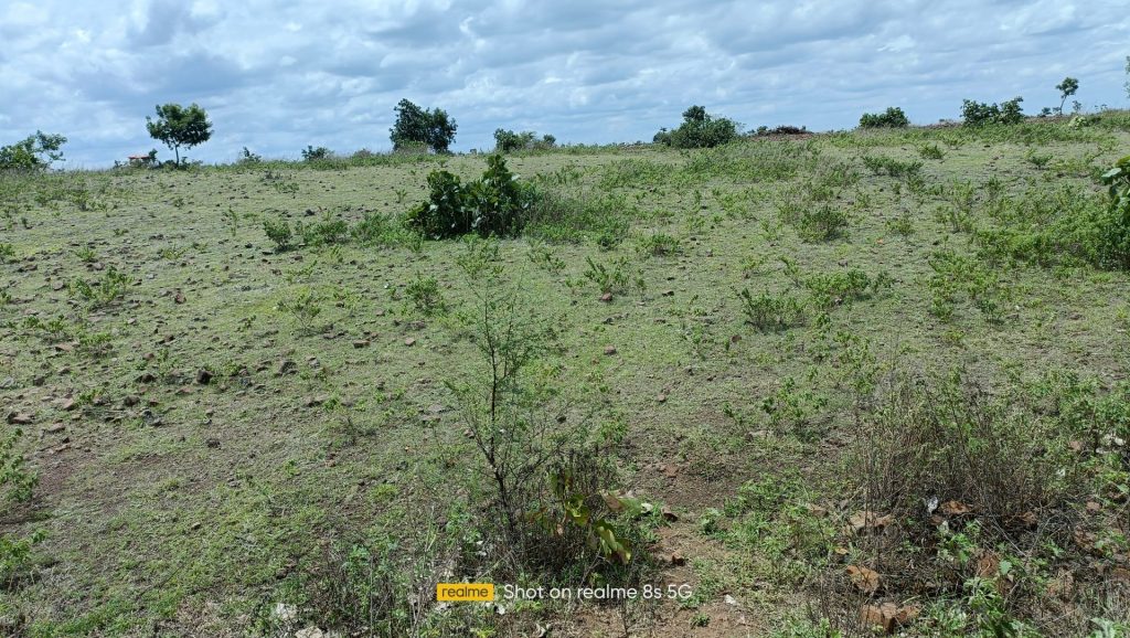 Agriculture Land For Sale In Narayankhed