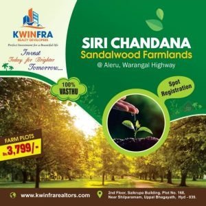 Farm Plots For Sale in Bhongir, Yadadri Bhuvanagiri.