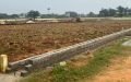 Residential Plots For Sale in Bheemili, Visakapatnam