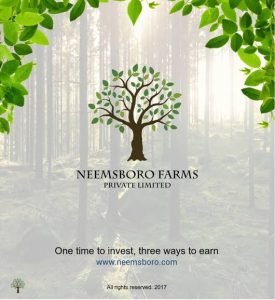 605 sq yards only 4 lakhs at Narayankhed for Neemsboro