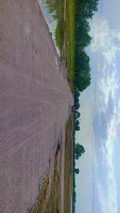 The Best Farm Land For Sale Near EV City, Shankarpally.