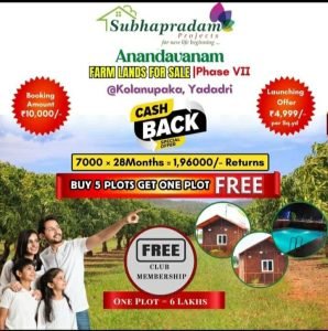 Farm land for sale at KOLANPAKA