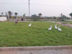 Government Approved Open Plots For Sale in Edupugallu, Vijayawada.