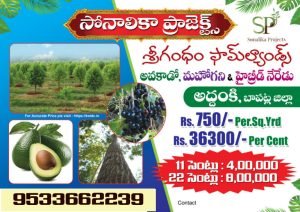 Mega Farm Plots For Sale in Addanki, Guntur.