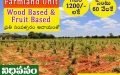 Farm Plots For Sale in Vinukonda, Guntur.