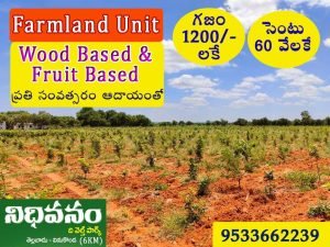 Farm Plots For Sale in Vinukonda, Guntur.
