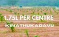 Grand Coco Farm Lands For Sale in Kinathukadavu, Coimbatore.