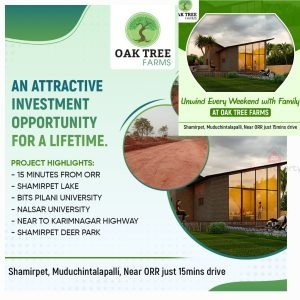 Oak Tree Farm Plots For Sale in Shamirpet, Medchal Malkajgiri.