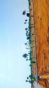 Residential Plots For Sale in kangeri, Bangalore.