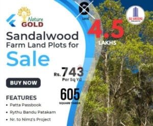 Farm Land Plots For Sale in Narayankhed, Sangareddy.